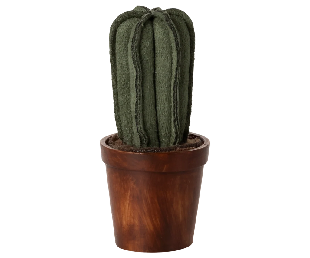 Flower pot with cactus