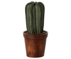 Flower pot with cactus