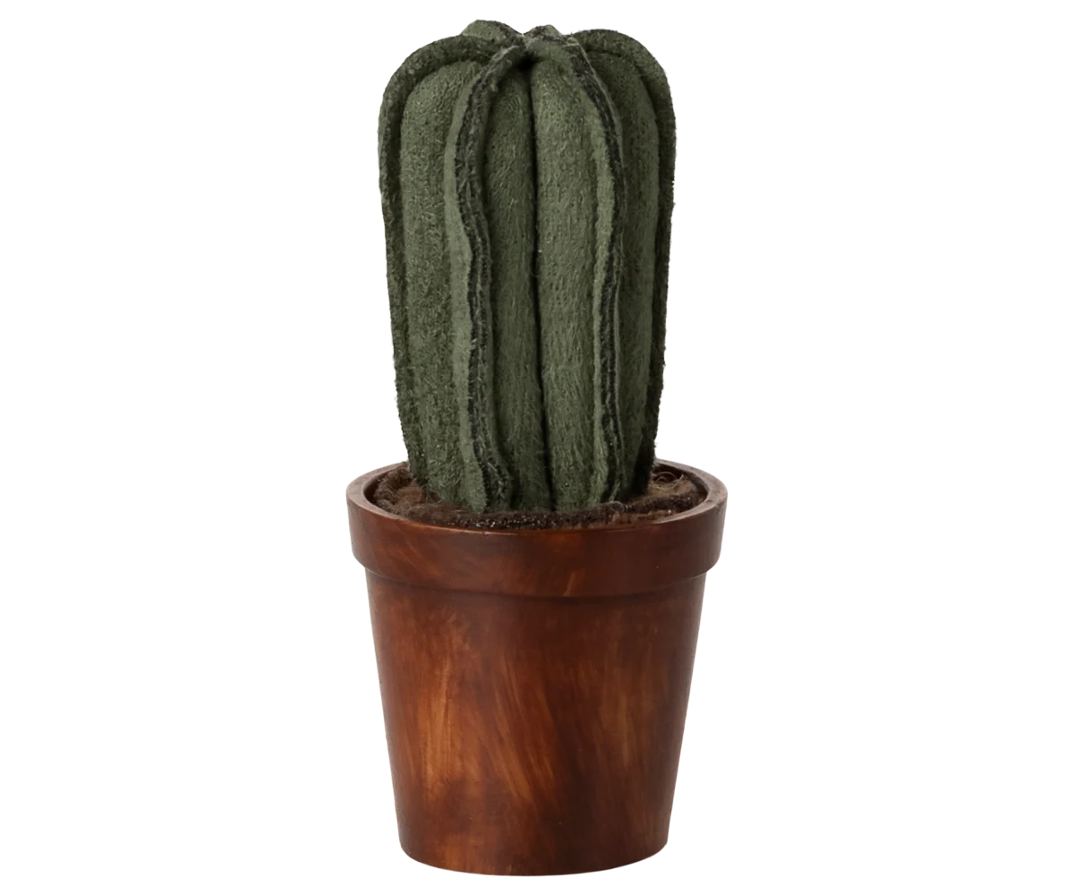 Flower pot with cactus