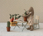Flower pot with cactus