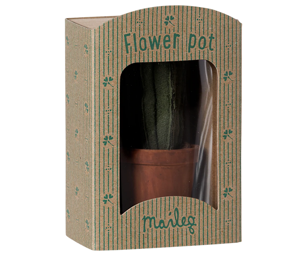 Flower pot with cactus