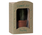 Flower pot with cactus