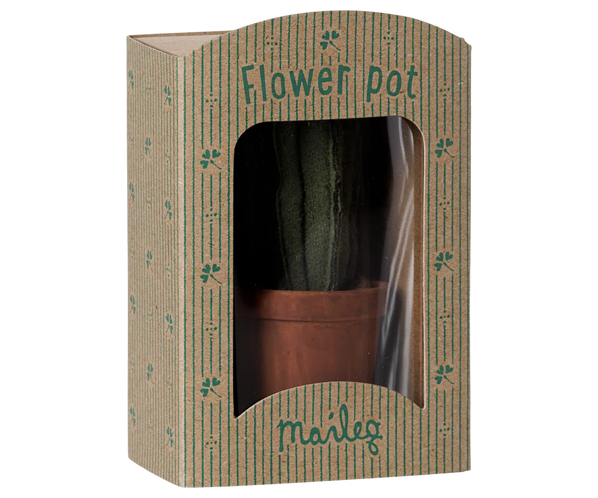 Flower pot with cactus
