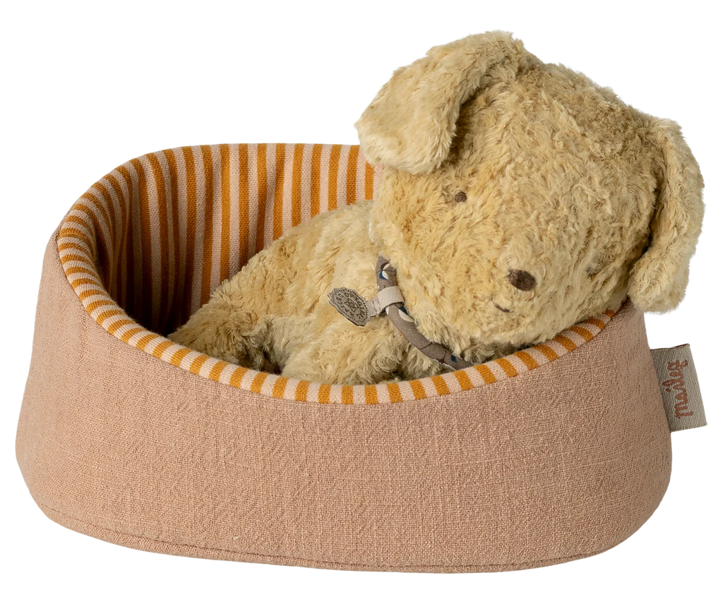 Pet Basket - Powder