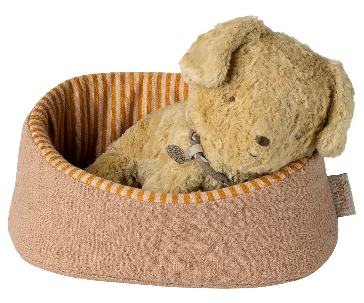 Pet Basket - Powder