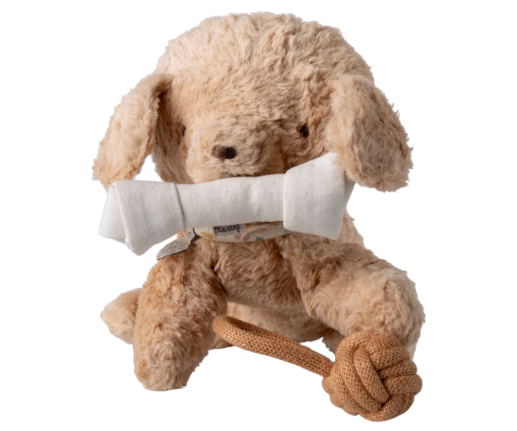 Pet supply, Toys