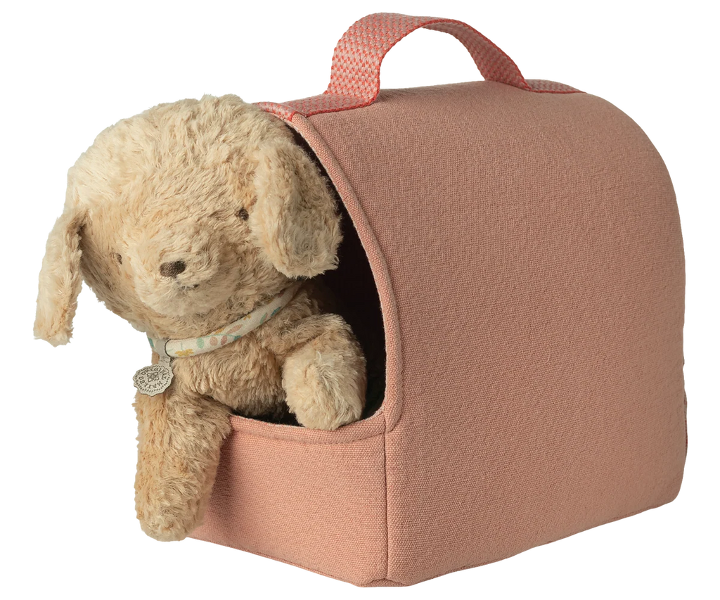 Pet Carrier - Coral
