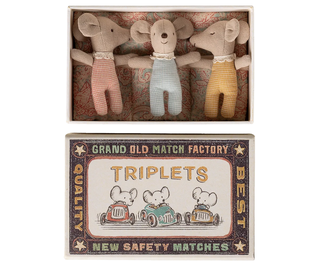 Triplets, Baby mice in matchbox