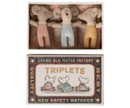 Triplets, Baby mice in matchbox