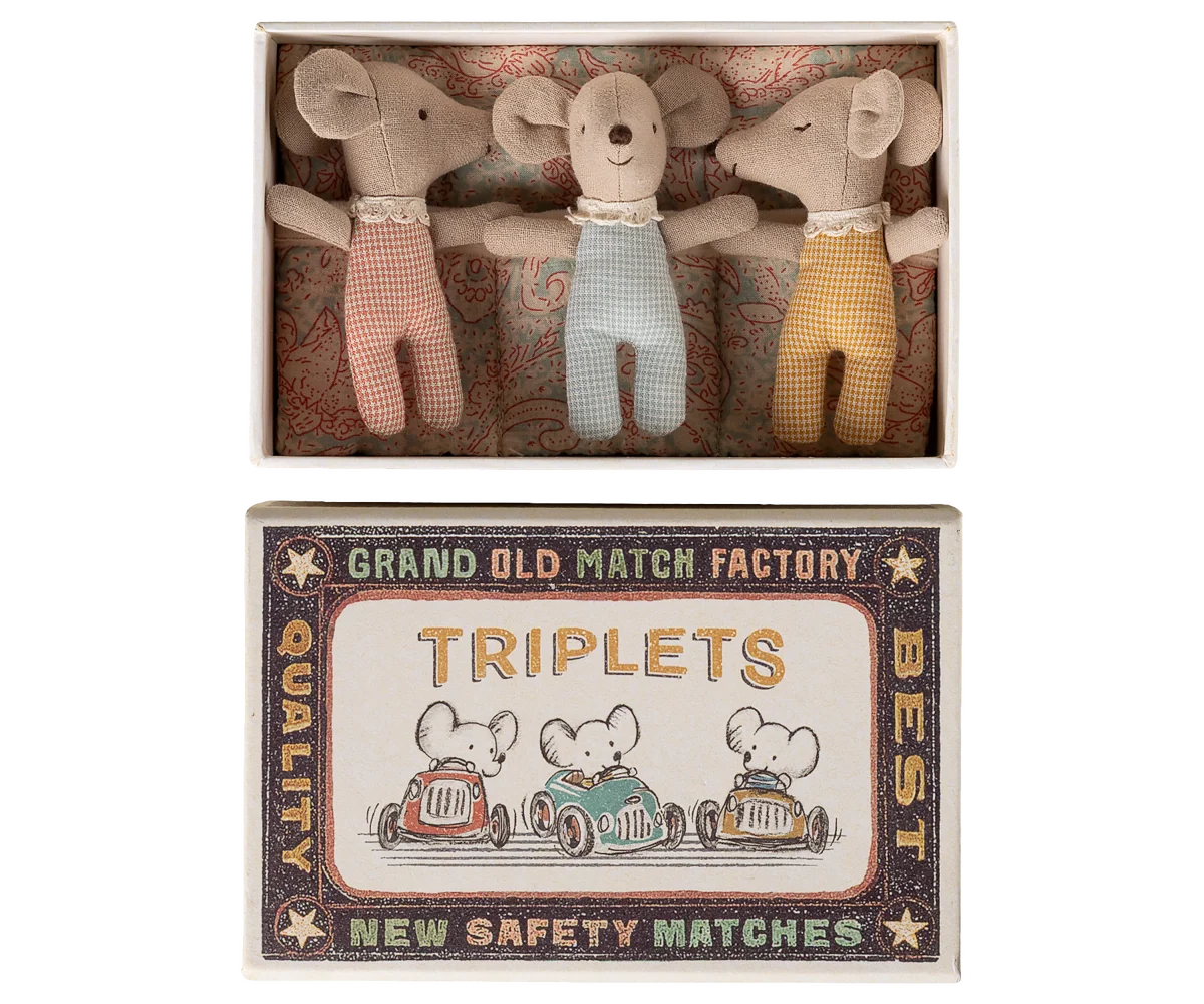 Triplets, Baby mice in matchbox