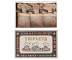 Triplets, Baby mice in matchbox
