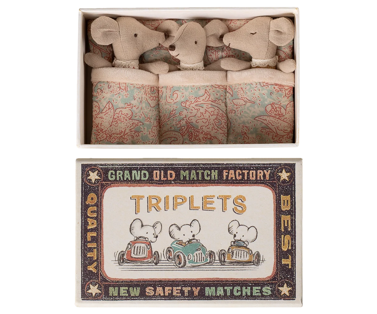 Triplets, Baby mice in matchbox