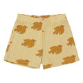 Pajaro Shorts