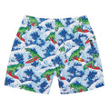 'Surfing USA' Boardshorts