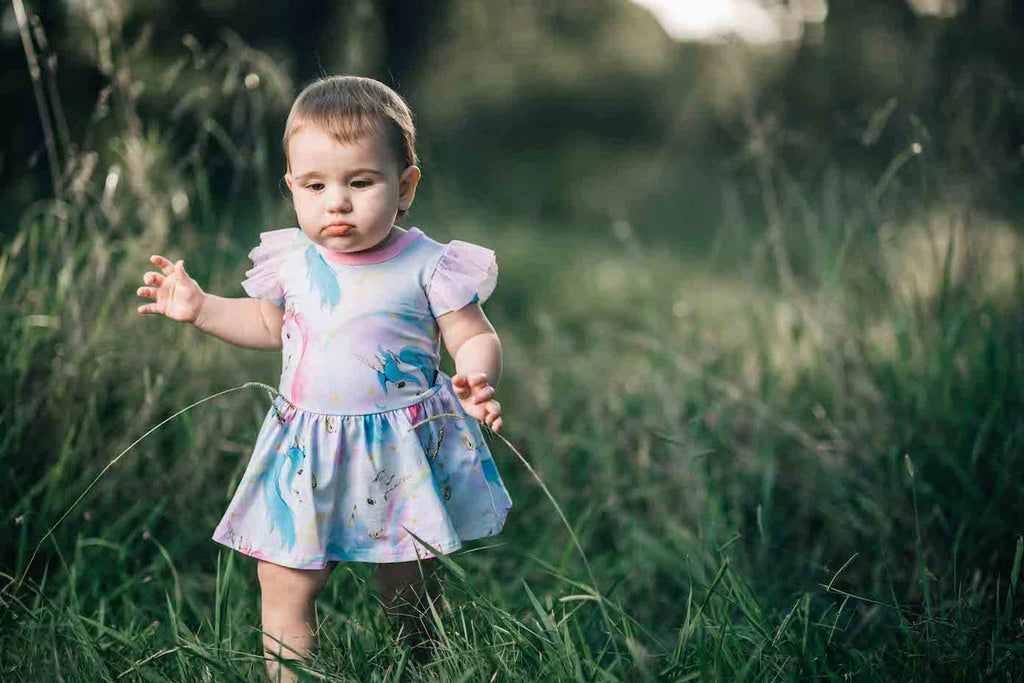 Fantasia Baby Waisted Dress