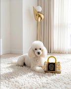 Fursace Handbag | Squeaky Plush Dog Toy