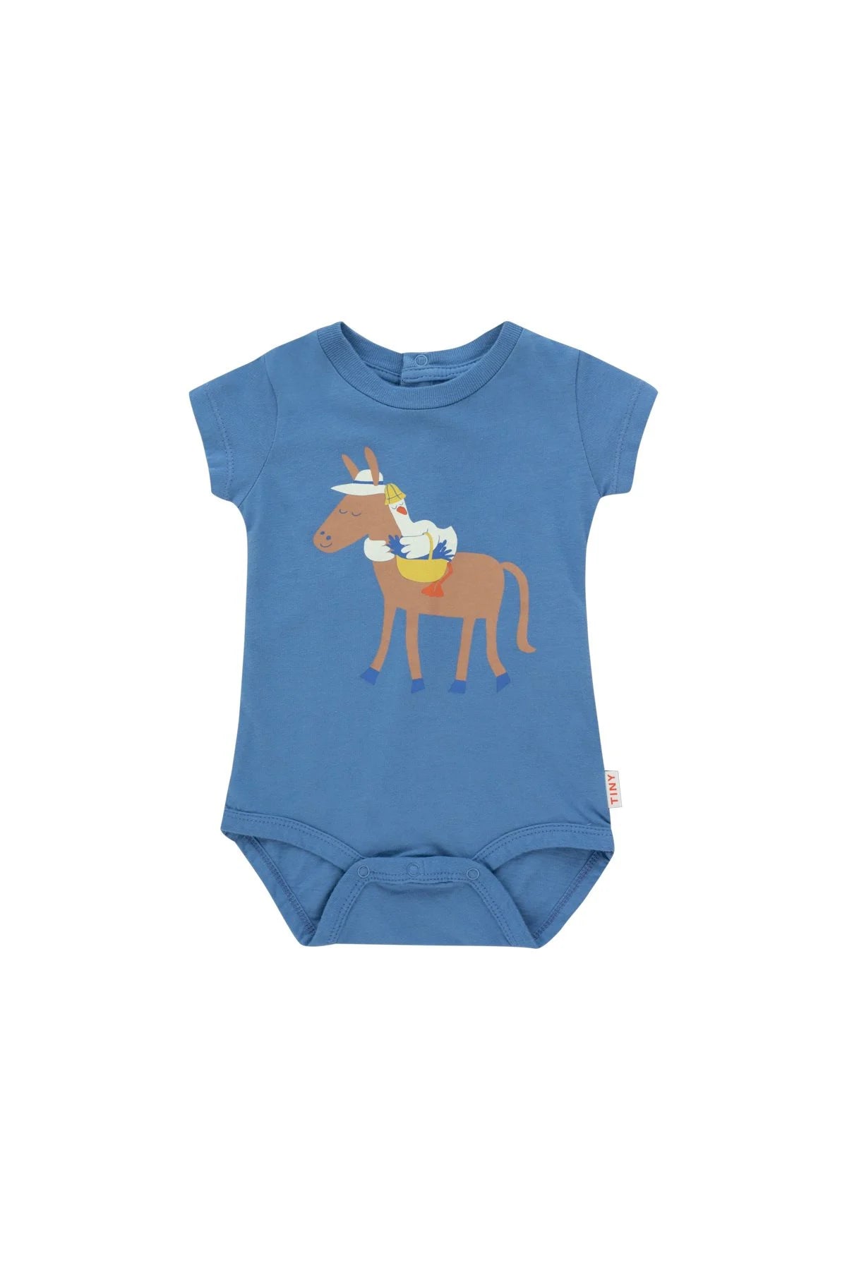 My Donkey Friend Body