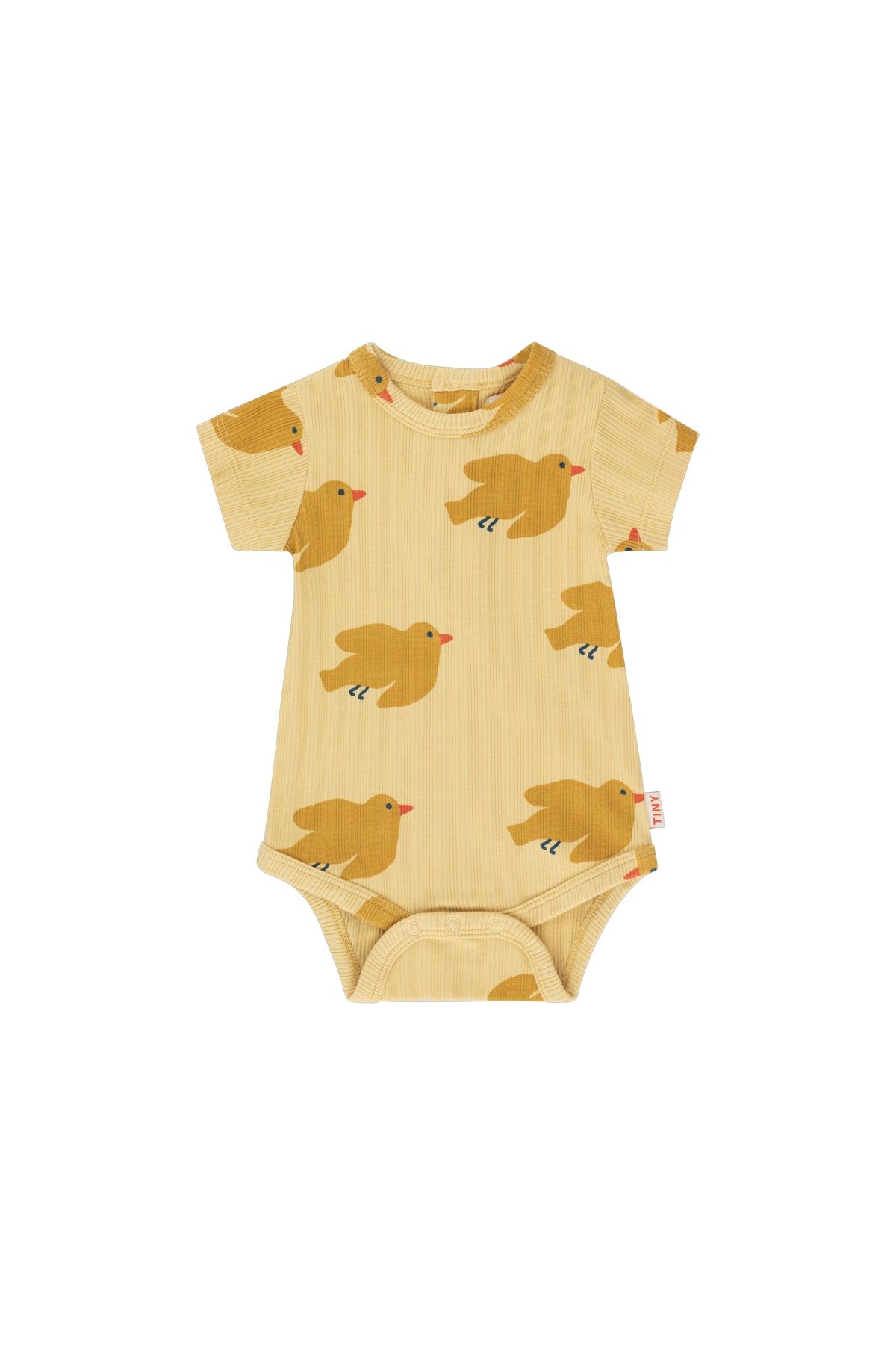 Pajaro Body