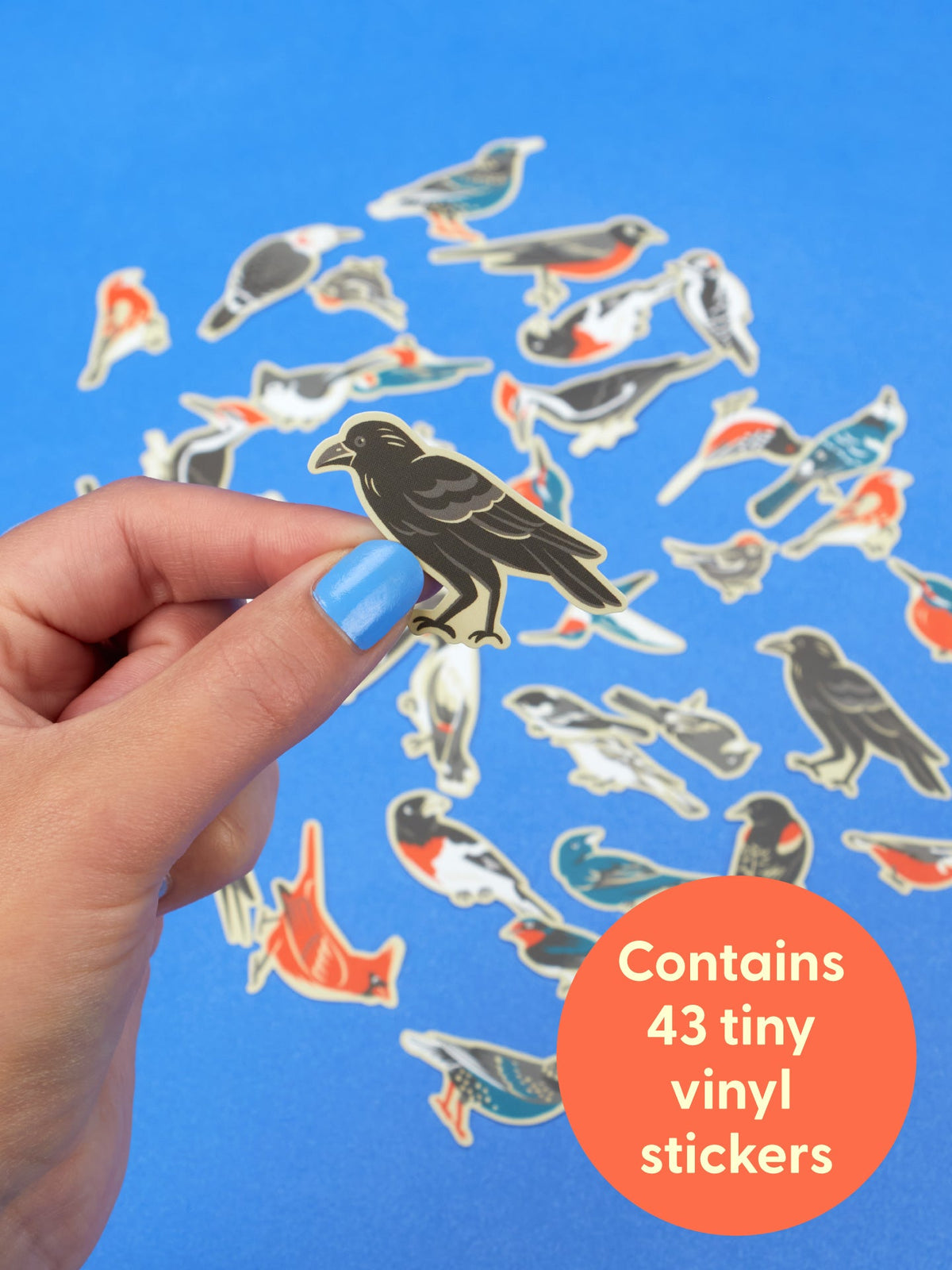 A hand holds a crow sticker over a blue background scattered with various bird stickers from the I’m Really Into Birds Playtime Sticker Set, featuring an orange circle that reads Contains 43 tiny vinyl stickers.