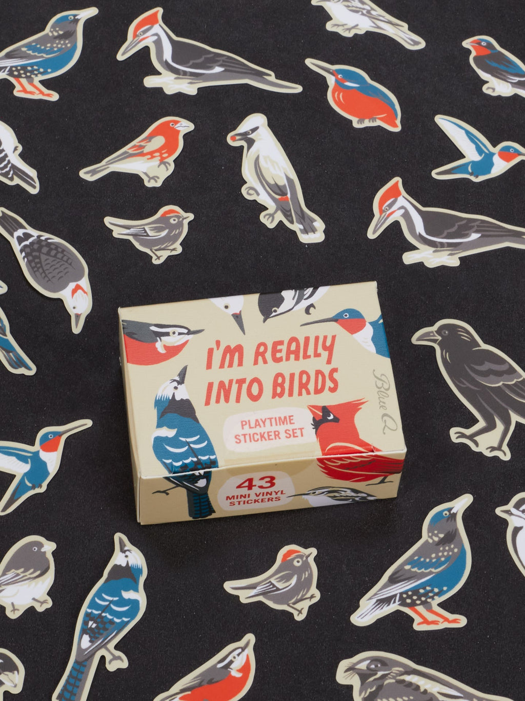 A Blue Q “I’m Really Into Birds Playtime Sticker Set” box, designed for ages 13 and up, rests on a black surface scattered with vibrant bird stickers. The box showcases bird illustrations and notes that it includes 43 collectible mini vinyl stickers.