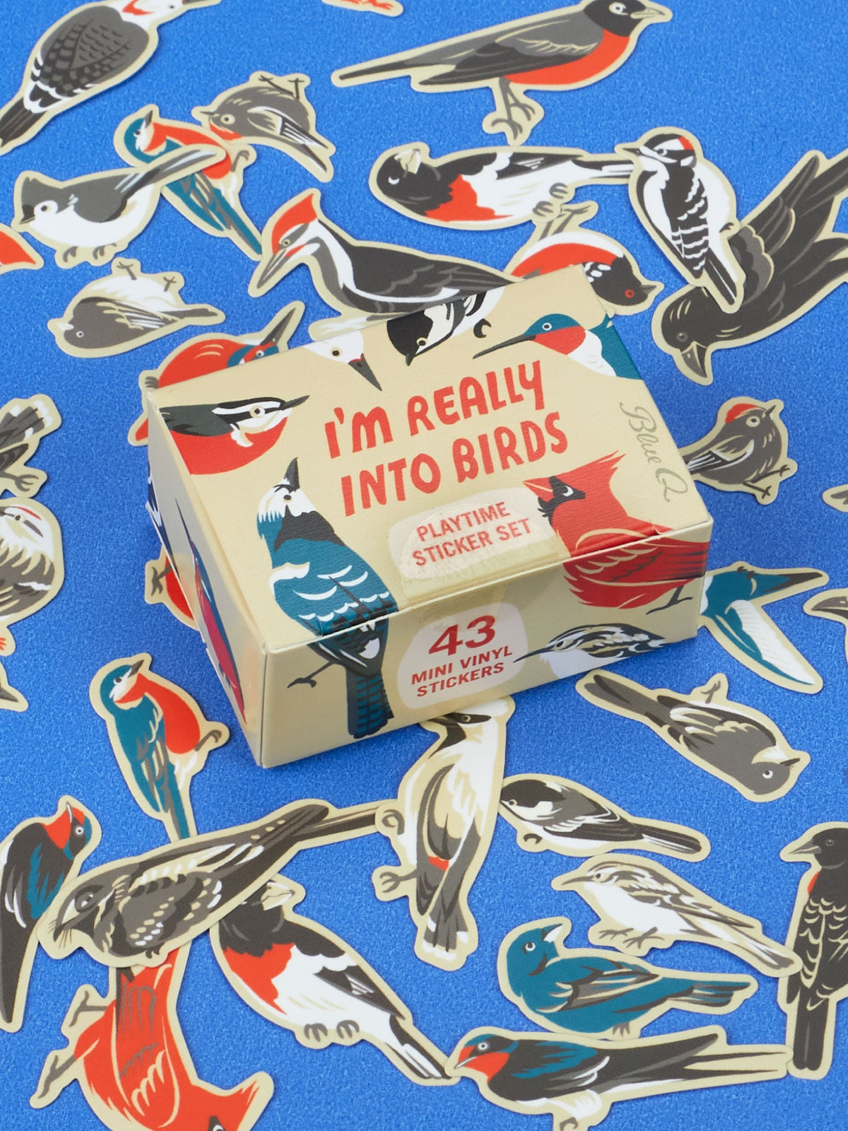A small cardboard box labeled I’m Really Into Birds Playtime Sticker Set by Blue Q surrounded by numerous bird-shaped stickers on a blue surface.