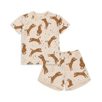 Basic Set GOTS Tiger Sand
