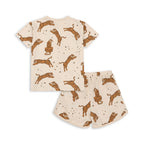 Basic Set GOTS Tiger Sand