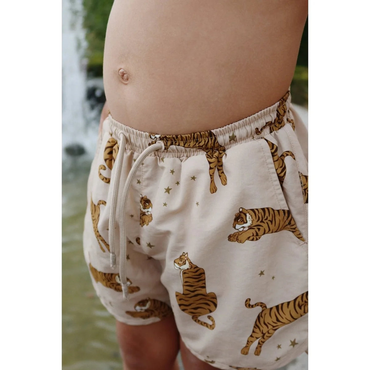 Asnou Swim Shorts - Tiger