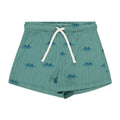 Sea Table Shorts - Light Teal/Real Blue